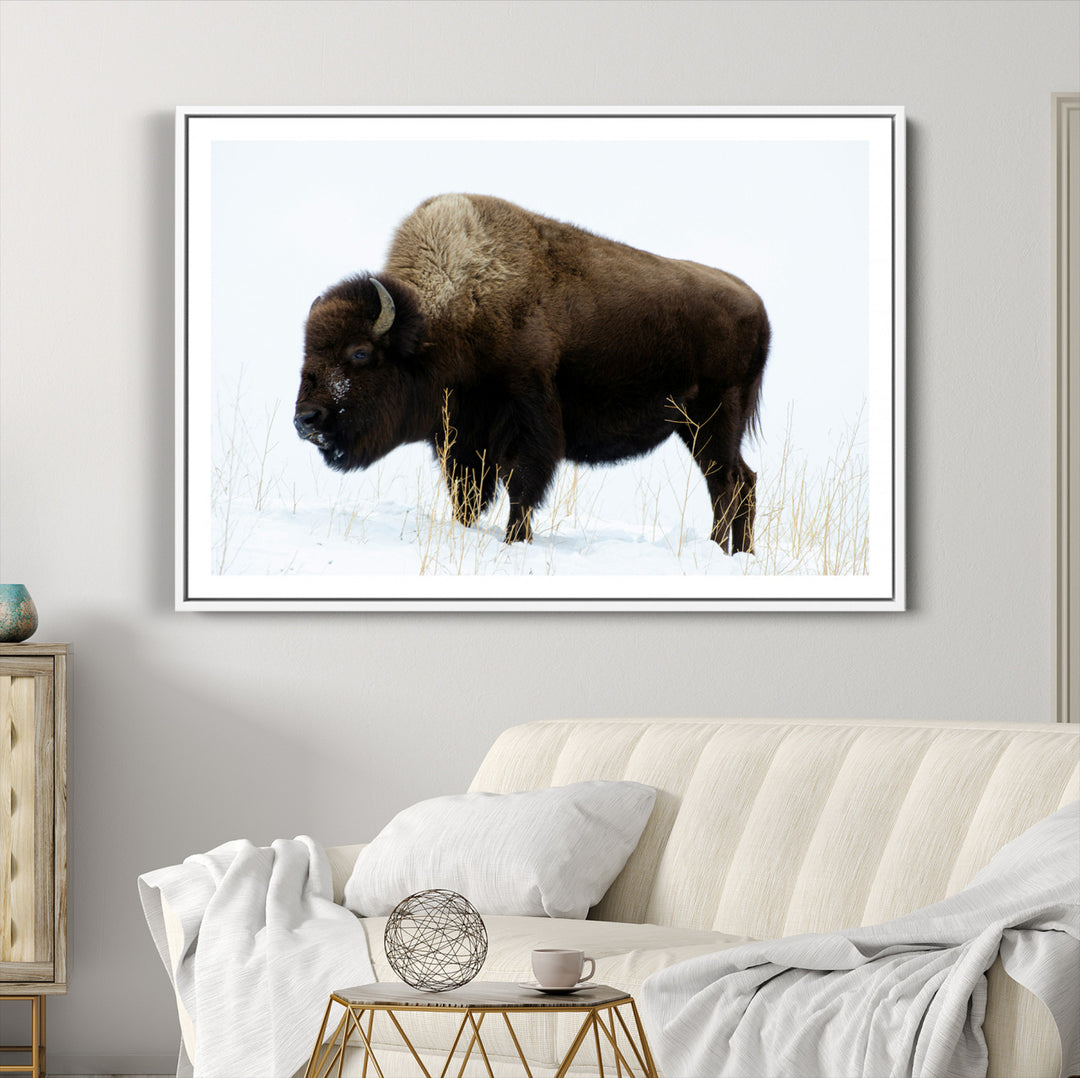 Bison Photography Wall Art Canvas Print, Framed Western Wildlife Art Picture Print, Buffalo On Snow Perfect Western Decor Artwork