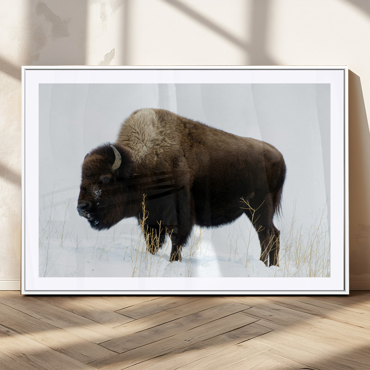 MGC-FP-36x24 - Bison Photography Wall Art Canvas Print, Framed Western Wildlife Art Picture Print, Buffalo On Snow Perfect Western Decor Artwork