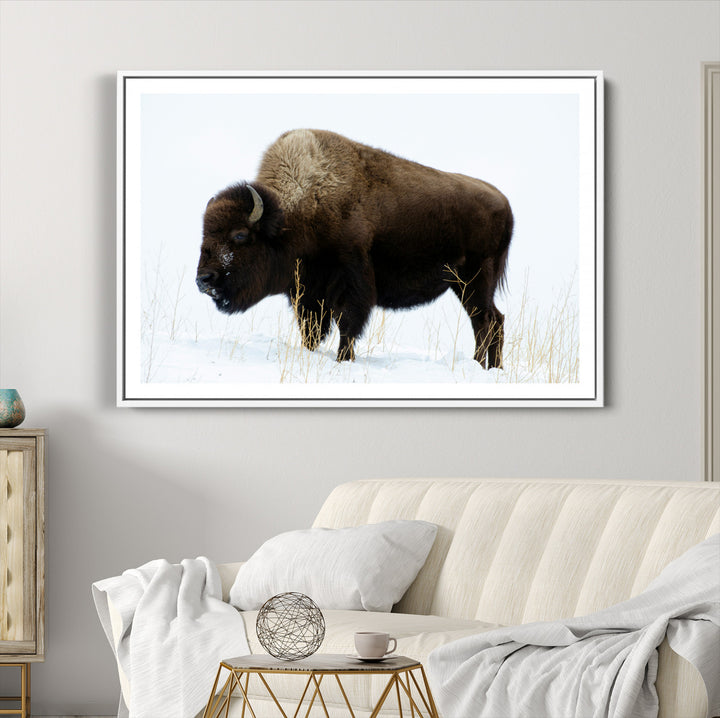 Bison Photography Wall Art Canvas Print, Framed Western Wildlife Art Picture Print, Buffalo On Snow Perfect Western Decor Artwork