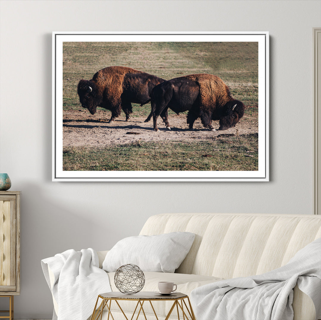 Bison Photography Wall Art Canvas Print, Framed Western Wildlife Art Picture Print, Modern Ranch Perfect Western Rustic Decor Artwork