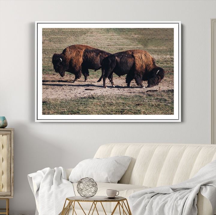 Bison Photography Wall Art Canvas Print, Framed Western Wildlife Art Picture Print, Modern Ranch Perfect Western Rustic Decor Artwork