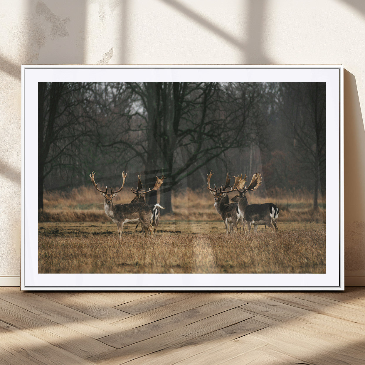 A group of majestic deer standing in a golden field with bare trees in the background, creating a peaceful woodland scene.