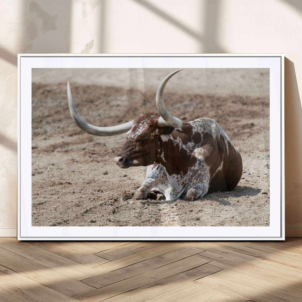 Texas Longhorn resting on sandy ground with large curved horns, capturing a rustic Western aesthetic perfect for farmhouse-style wall art.