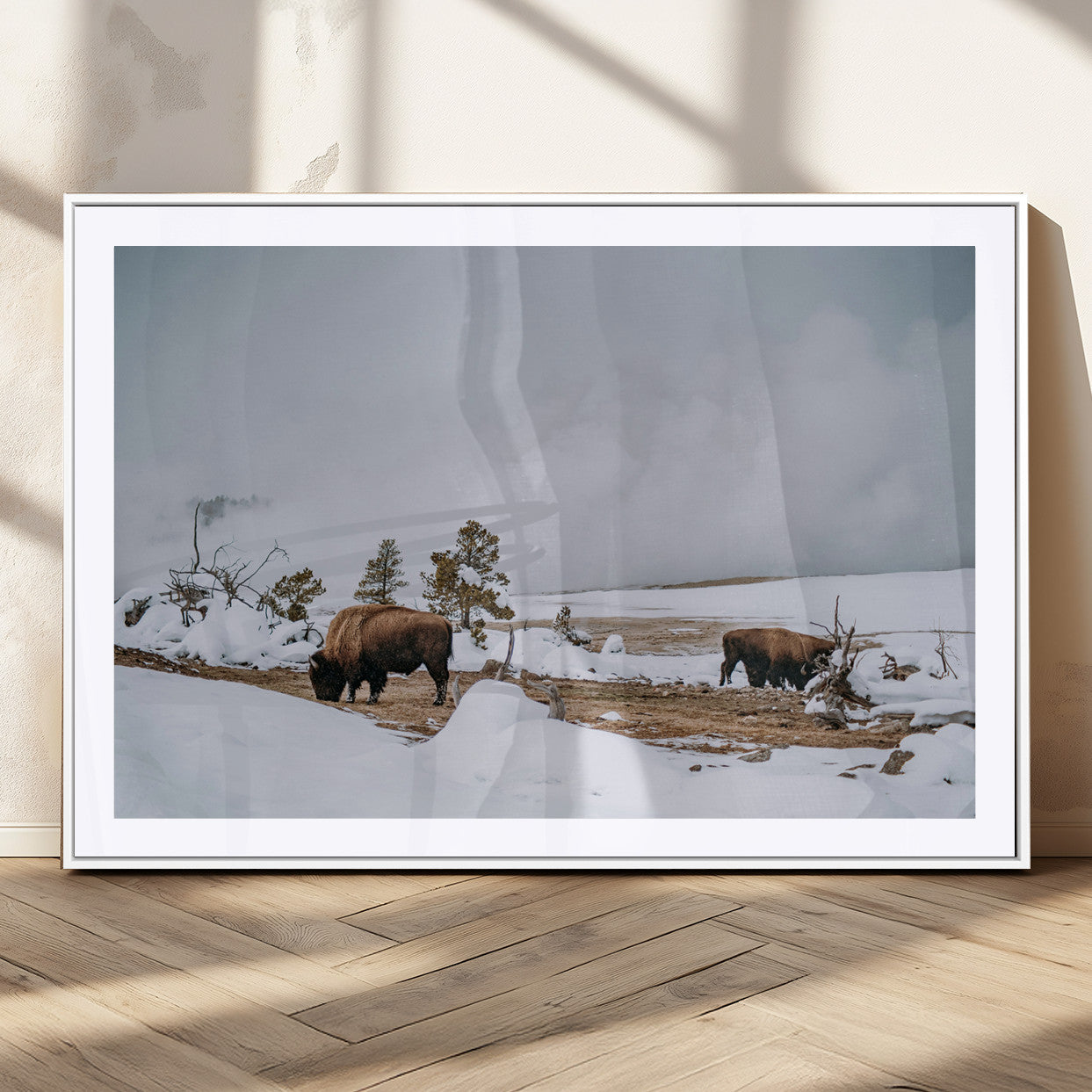 Two bison grazing in a snowy open landscape with misty hills in the background, creating a peaceful and rustic winter scene.