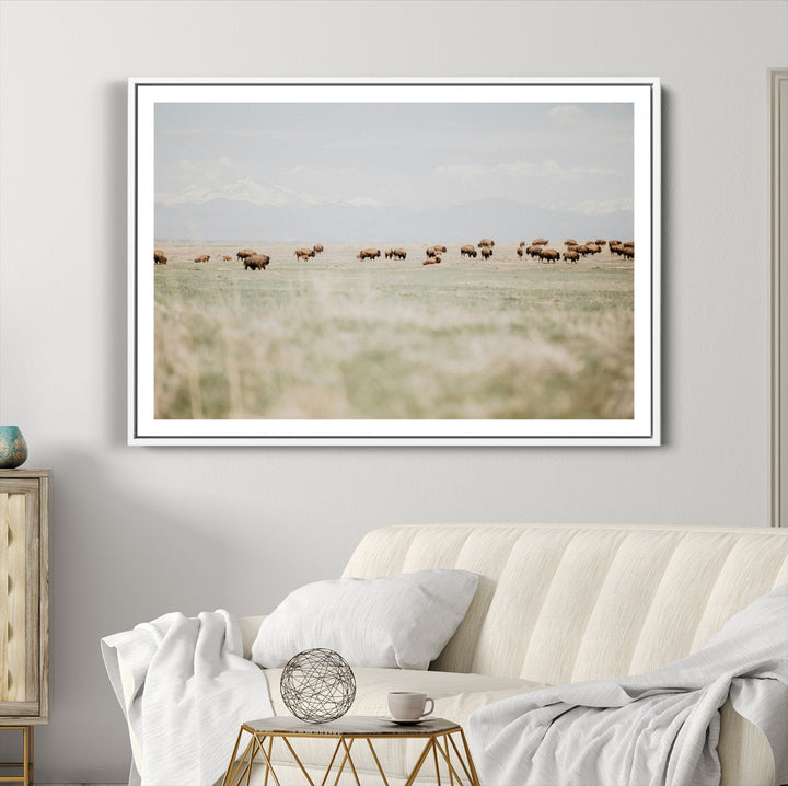 Bison Herd Wall Art Canvas Print, Framed Western Art Picture Print, Bison Perfect Ranch Decor Artwork