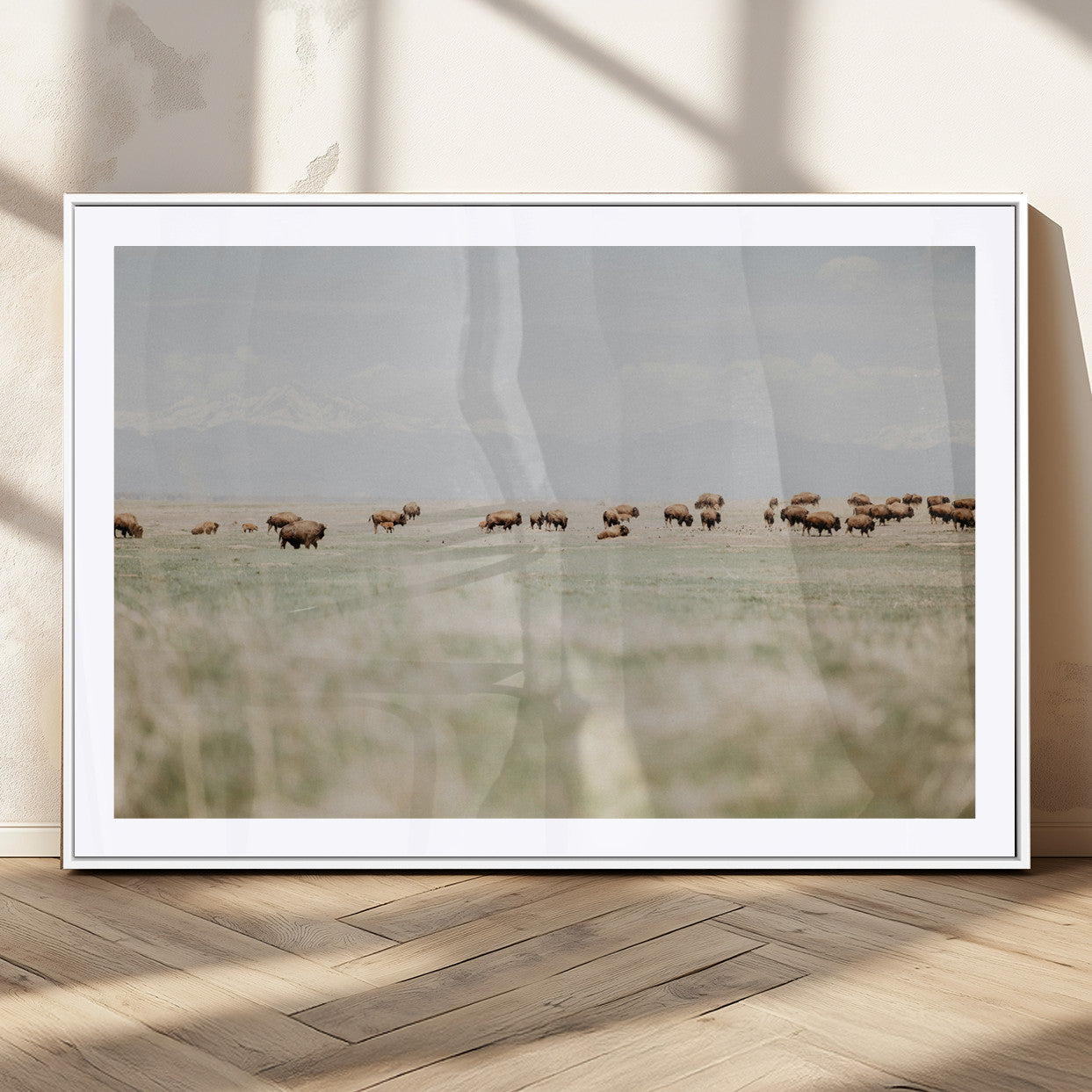 A herd of bison grazing in an open prairie with distant mountains under a soft sky, creating a serene and rustic Western landscape.