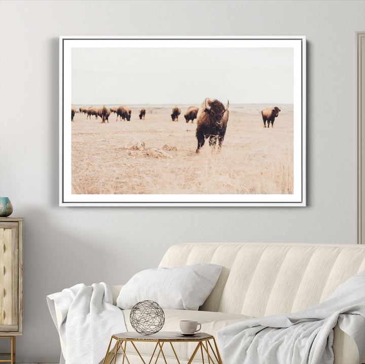 Bison Herd Wall Art Canvas Print, Framed Western Art Picture Print, Prairie Serenity Perfect Ranch Decor Artwork