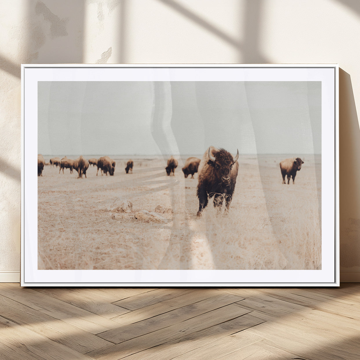Herd of bison roaming a vast prairie with golden grass under a soft sky, creating a rustic and Western landscape, ideal for wall art.