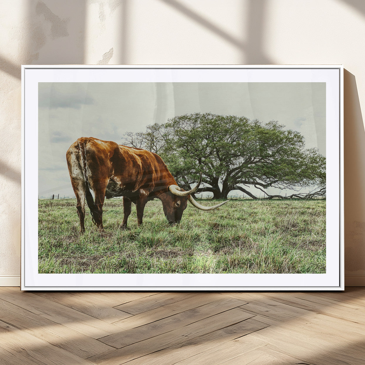 A Texas Longhorn grazing in a green pasture with a large tree in the background, evoking a rustic Western and farmhouse aesthetic.
