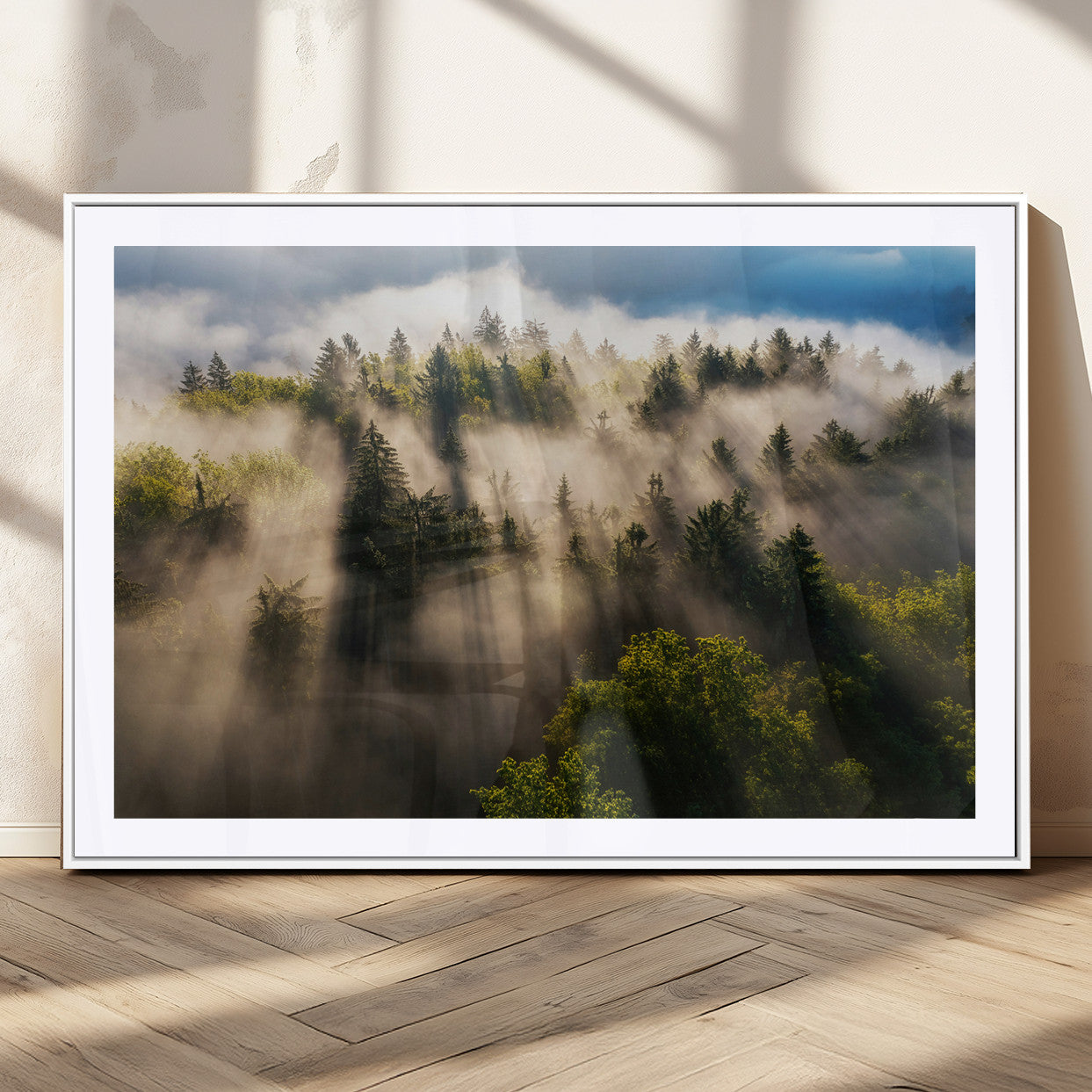 Sunlight streaming through misty pine trees in a lush green forest, creating a serene and atmospheric landscape, perfect for nature-inspired decor.