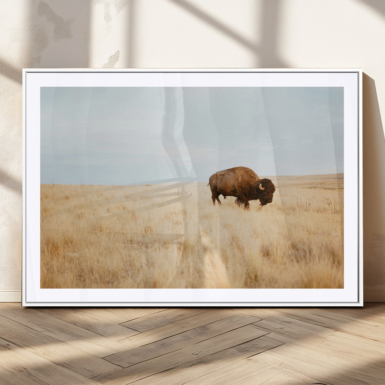 A lone bison standing in a vast golden grassland under a soft blue sky, evoking a rustic and Western aesthetic, ideal for farmhouse decor.