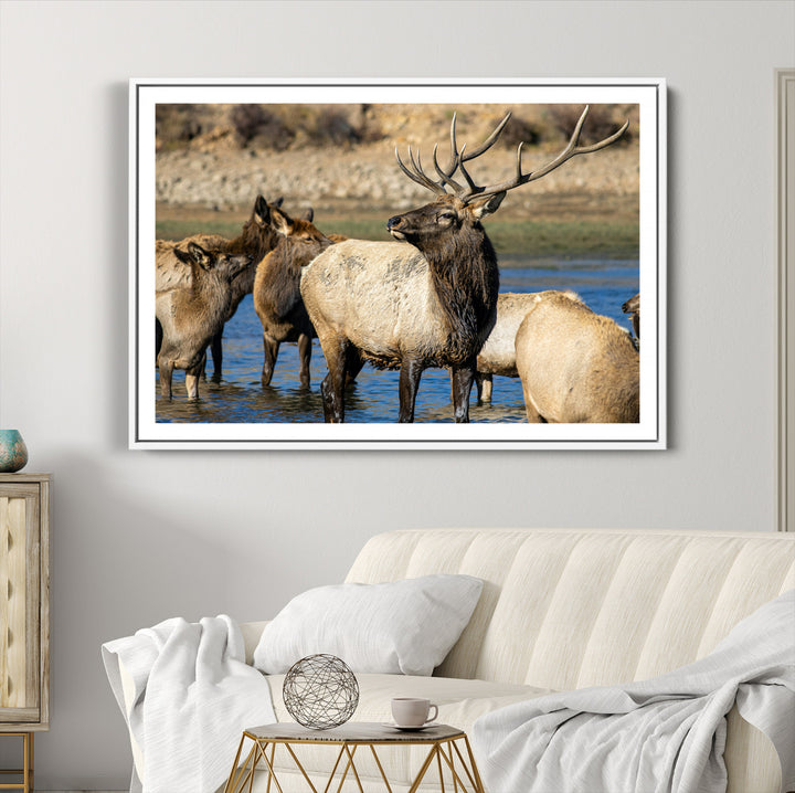 Wild Elk Photography Wall Art Canvas Print, Framed Neutral Wildlife Scene Art Picture Print, Rustic Animal Print Perfect Rustic Farmhouse