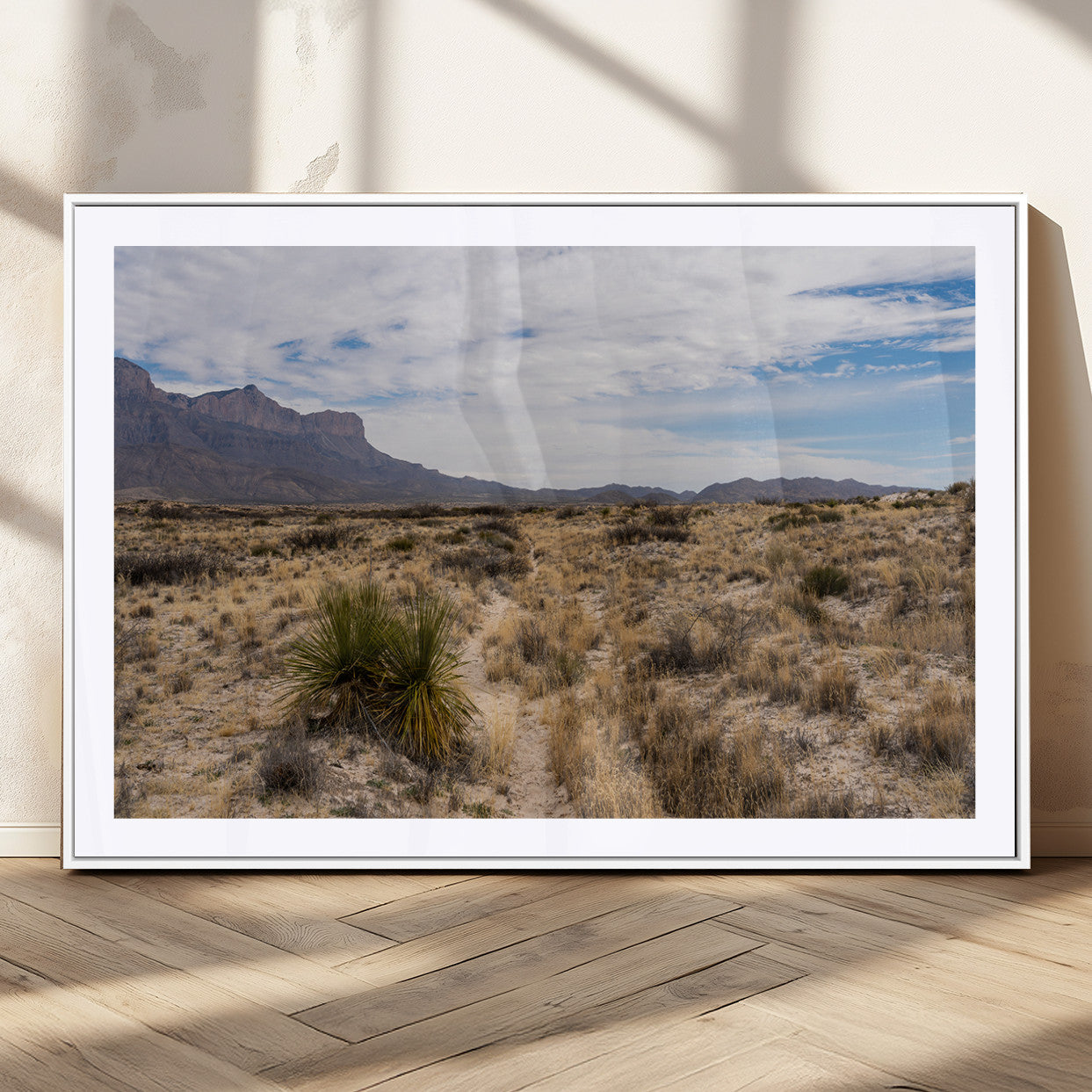A scenic desert landscape with dry grasses, scattered shrubs, and a distant mountain range under a partly cloudy blue sky.