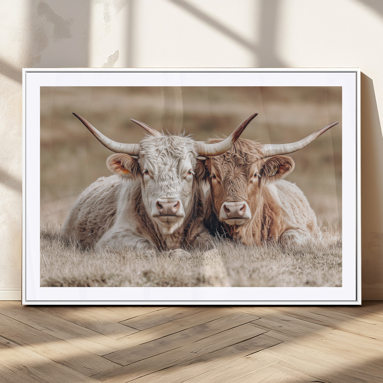 Two Highland cows with long horns lying side by side on a grassy field, featuring soft natural tones and a calm rural setting.