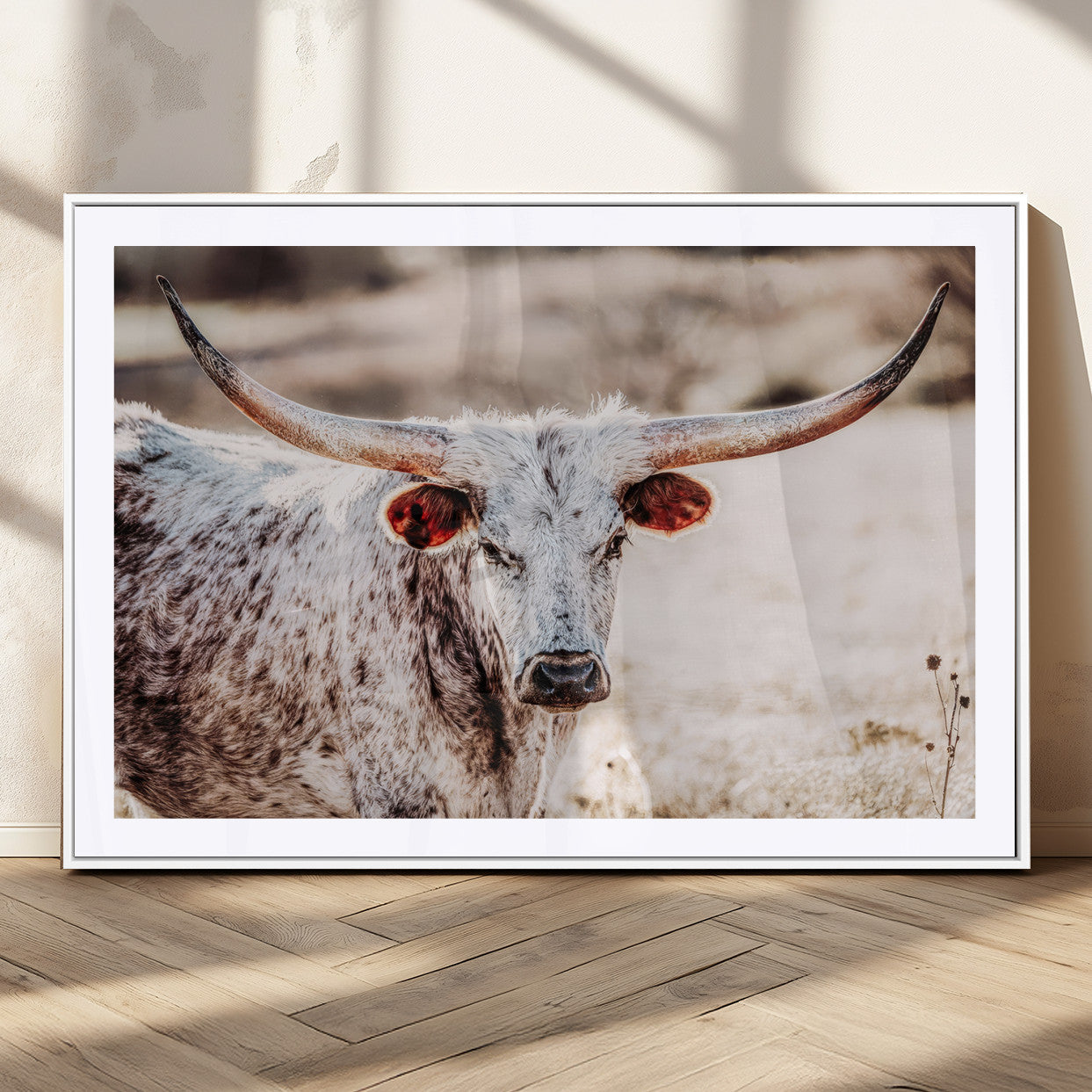 Close-up photograph of a white and brown speckled longhorn cow with very large, curved horns standing in a sunlit field with dry grass and blurred background.