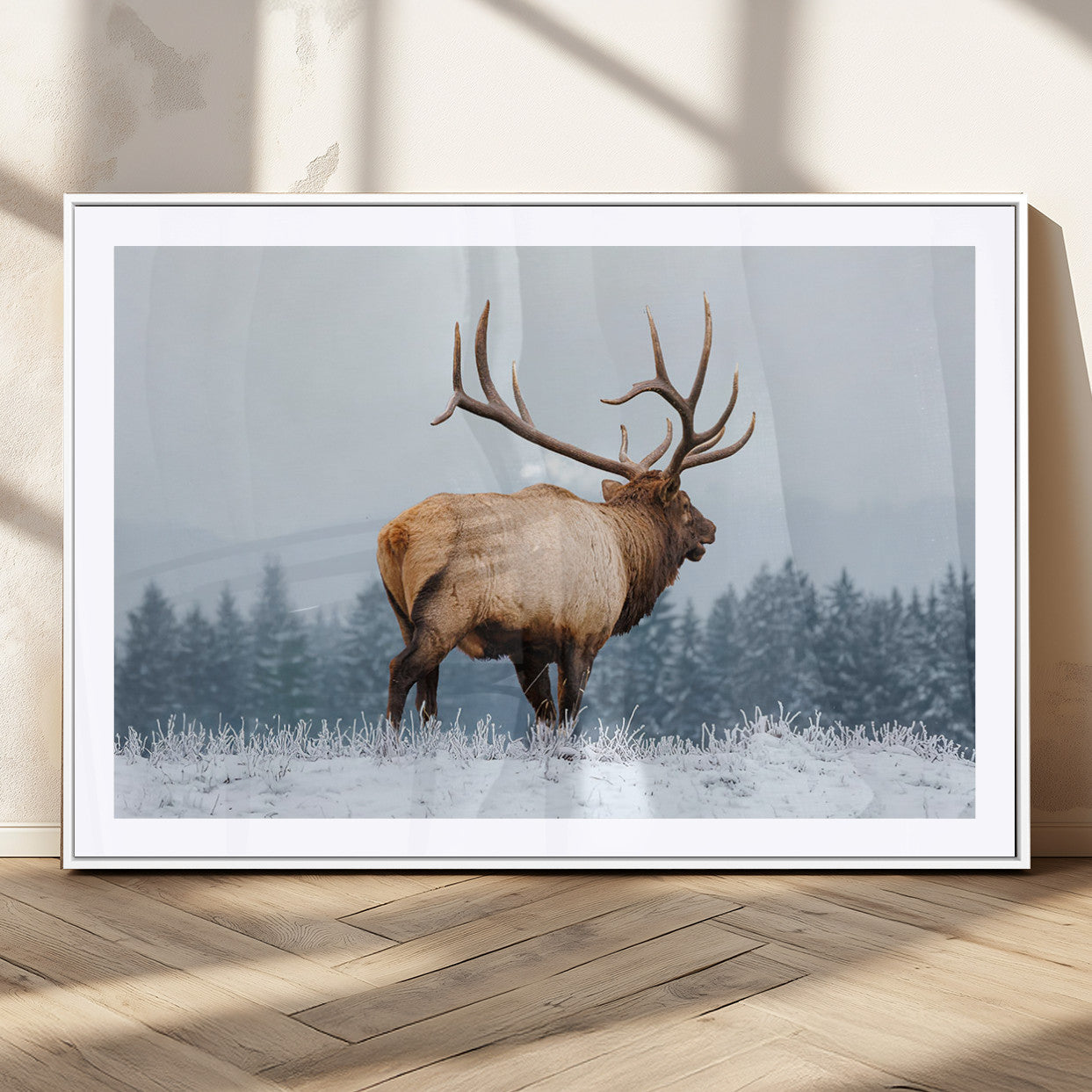 A majestic elk standing in a snowy landscape, with large antlers, set against a backdrop of evergreen trees and a soft winter sky.