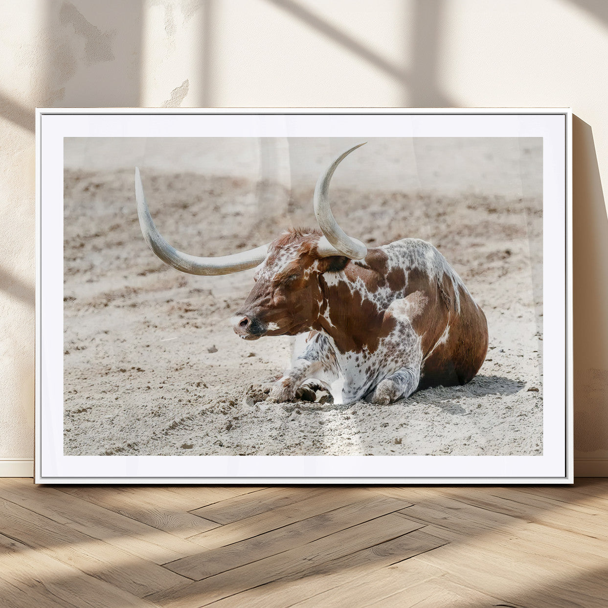 MGC-FP-36x24 - Majestic Longhorn Resting on Sunlit Desert Ground – Striking Western-Themed Wall Art Canvas Print