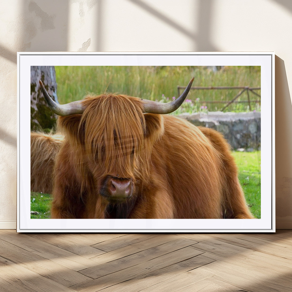 68411138-MGV-CV-36X24-Highland Cow Long Hair Rustic Farm Animal Horns Green Pasture Natural Beauty Outdoor Wall Art Canvas Print