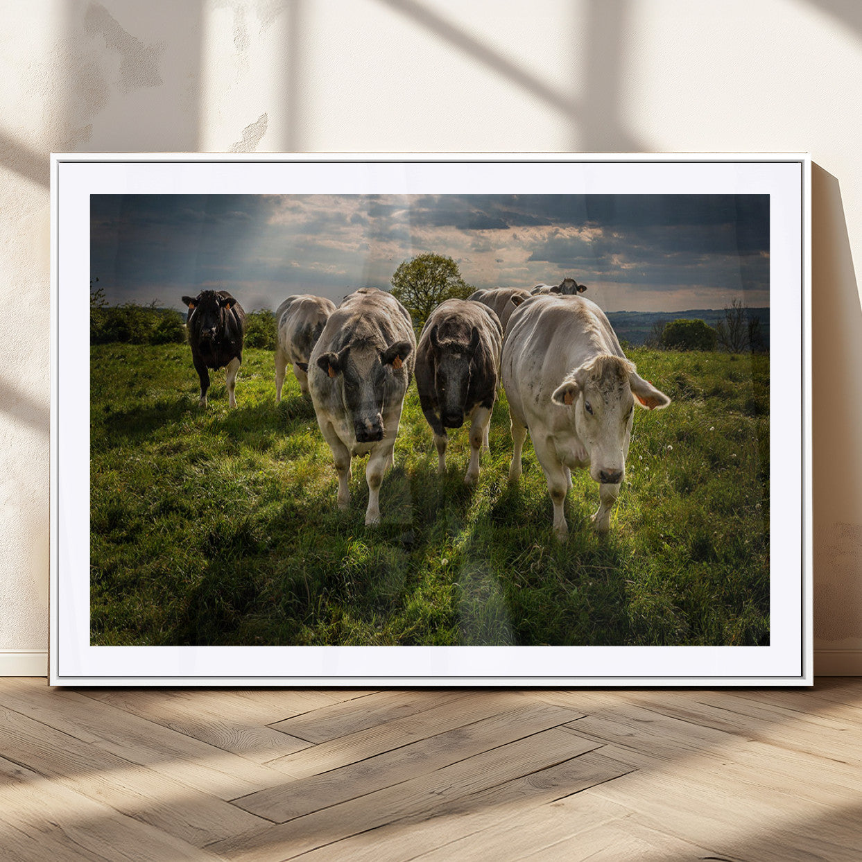 67277447-MGV-CV-36X24-Grazing Cattle Herd Pasture Green Field Livestock Natural Farm Animals Rural Life Outdoor Wall Art Canvas Print