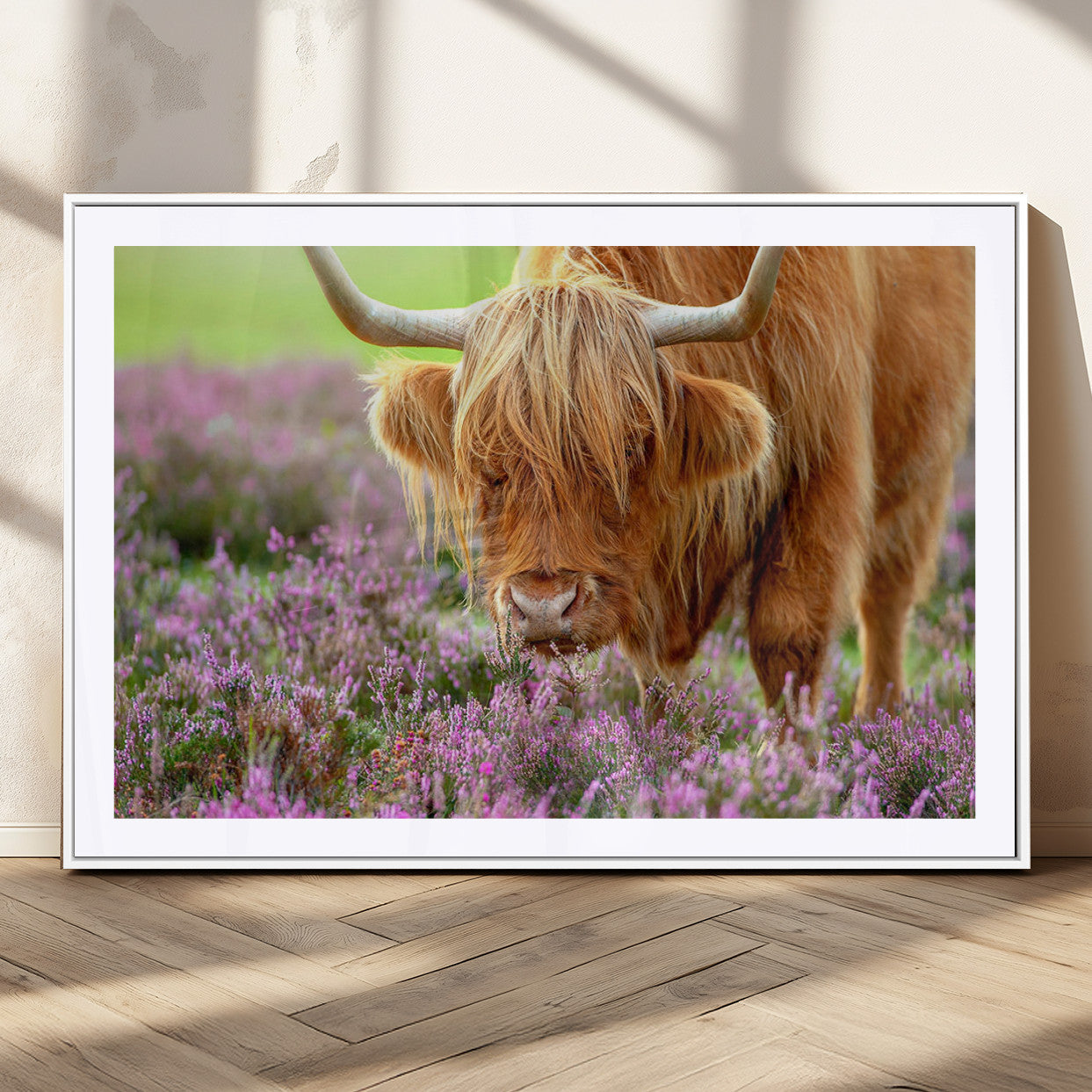 64069351-MGV-CV-36X24-Highland Cow Purple Flowers Nature Pasture Scenic Wildlife Animal Grazing Meadow Calm Rustic Charm Outdoors Peace Wall Art Canvas Print