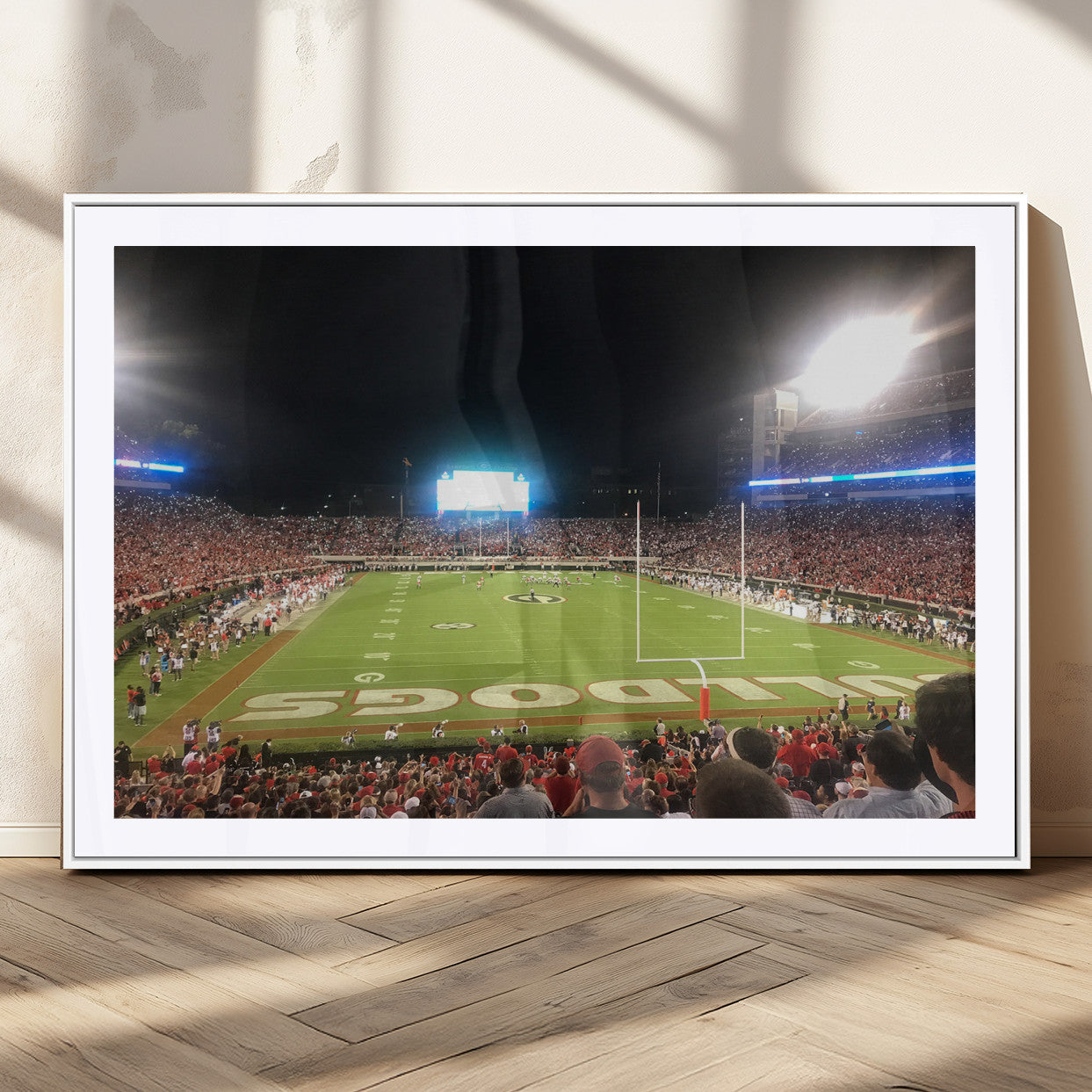 Dooley Stadium Wall Art Print, Sports Arena Canvas Wall Art, Panoramic Stadium Canvas Print, Modern Athletic Field Art Printing