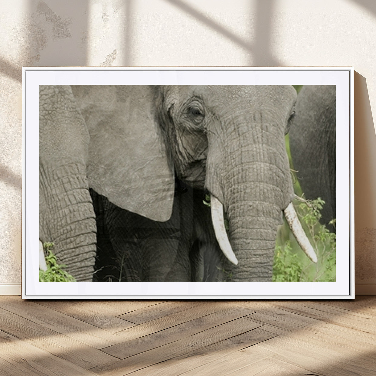 MGC-FP-36x24 - Wild Elephant Wall Art Canvas Print