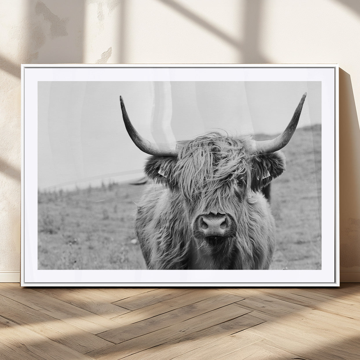MGC-FP-36x24 - Newfoundland Cow Art Wall Art, Black White Cow Art Wall Art Canvas Print