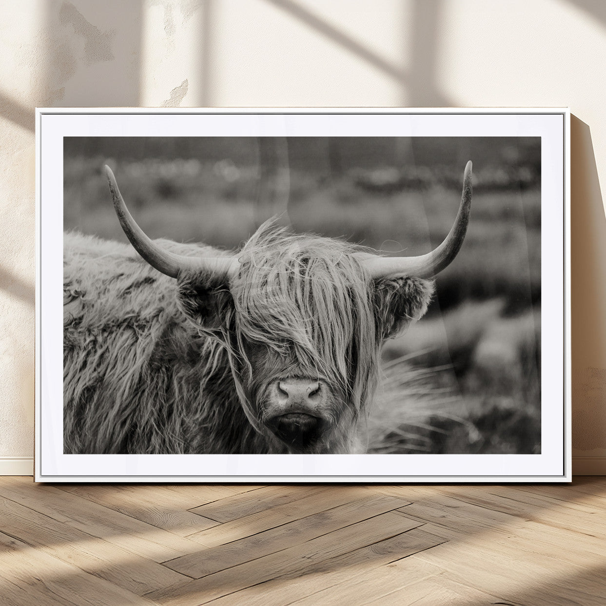 MGC-FP-36x24 - Cow Focus Canvas Wall Art Print