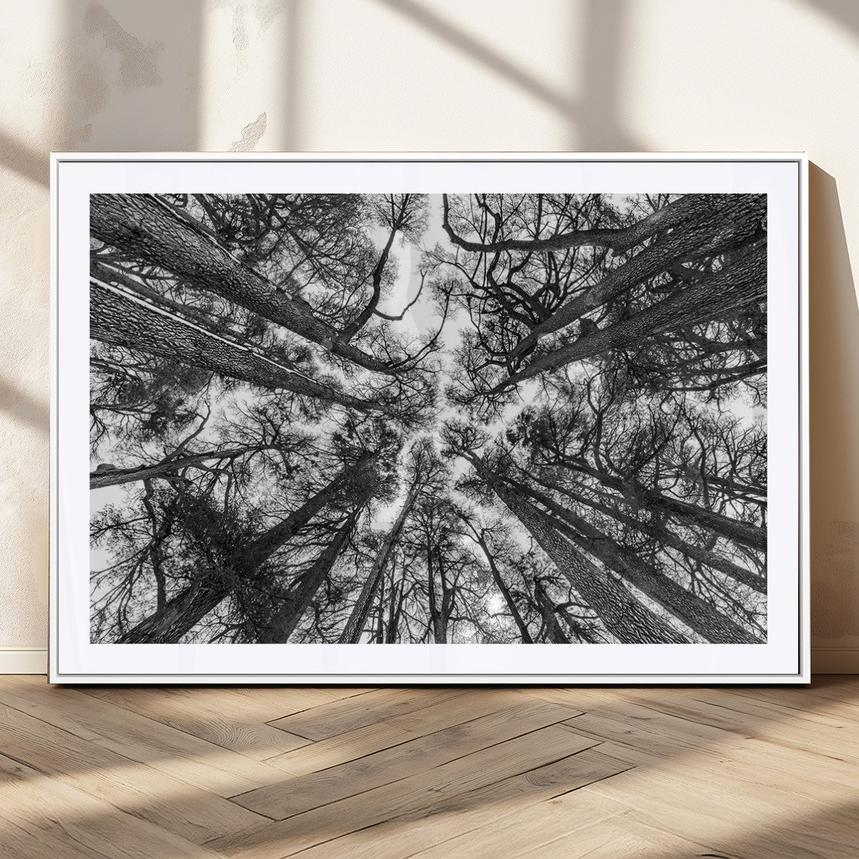 33934-MGC-FP-36x24_White-Trees Contemporary Art Canvas Print