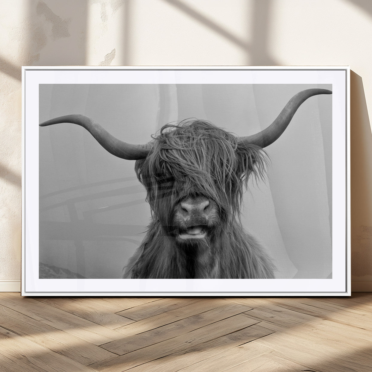 MGC-FP-36x24 - Texas Cow Wall Art Canvas, Texas Longhorn Cattle Canvas Print