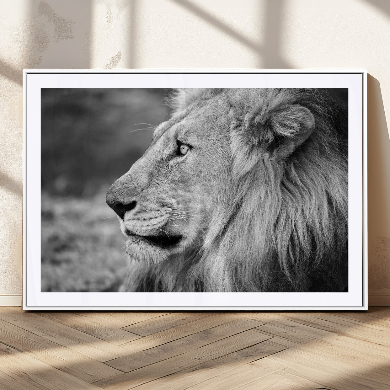 MGC-FP-36x24 - African Lion Wall Art Canvas Print