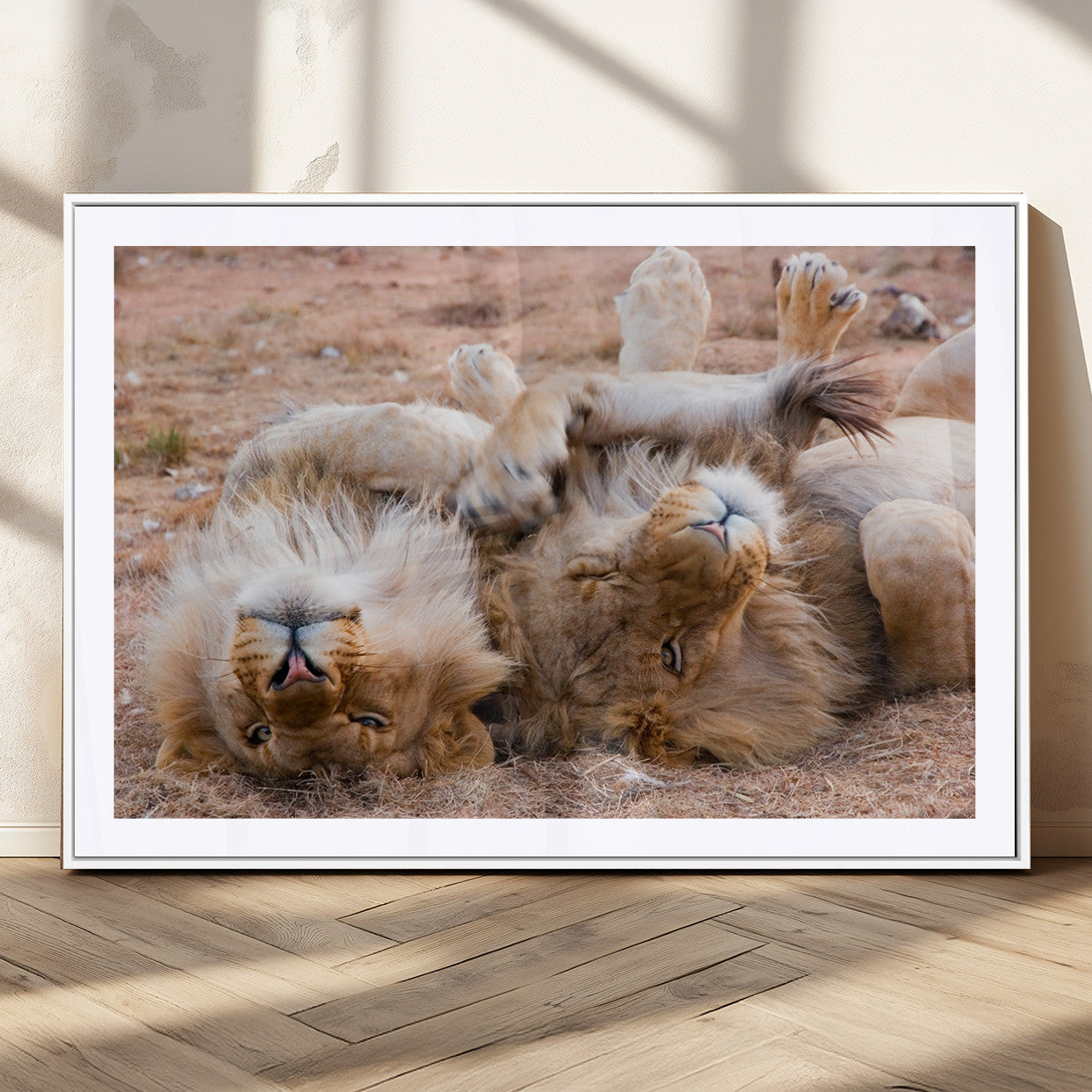 MGC-FP-36x24 - Animal Wall Art Lion Canvas Print