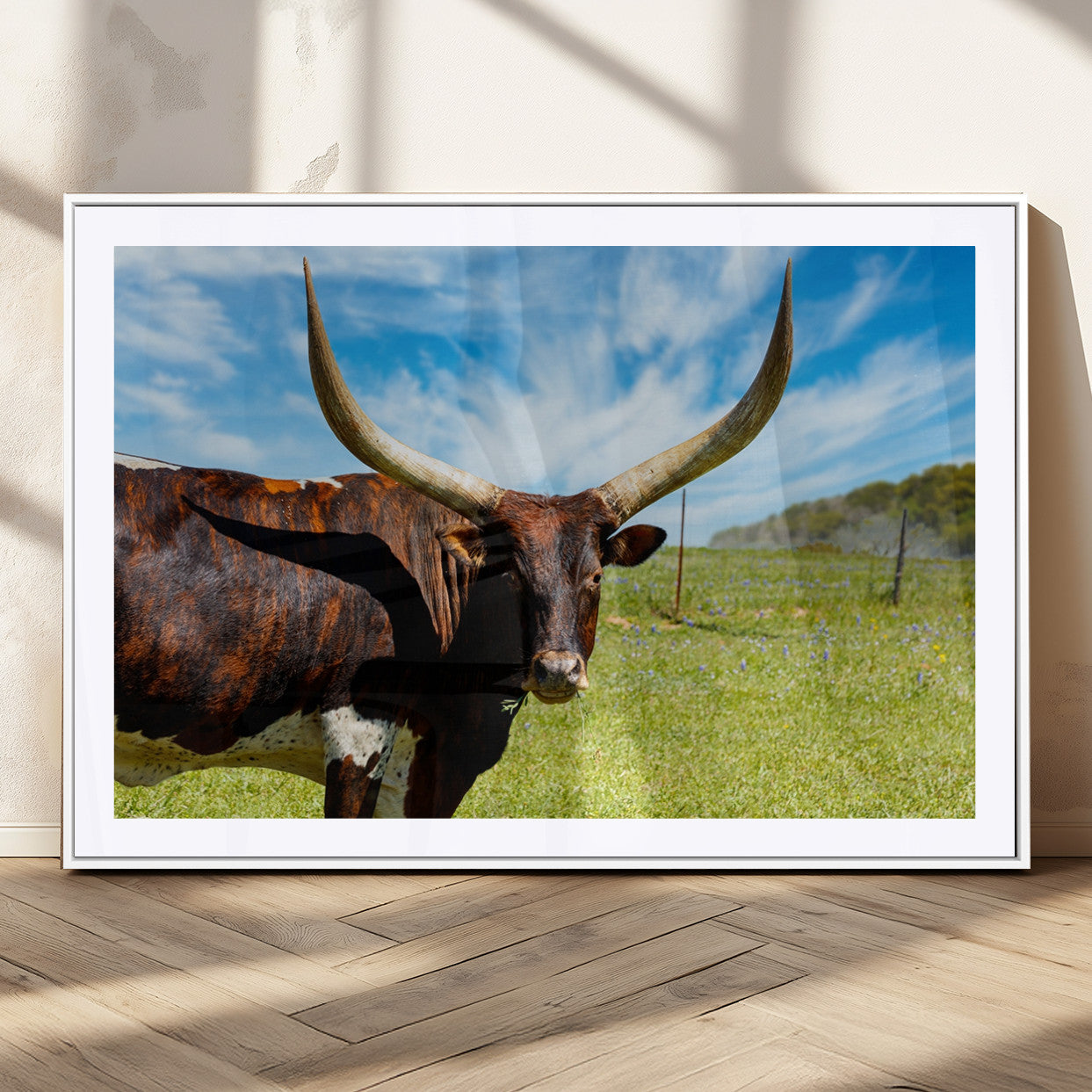 MGC-FP-36x24 - Longhorn and Cow Wall Art, Country Cow Wall Decor Canvas Print
