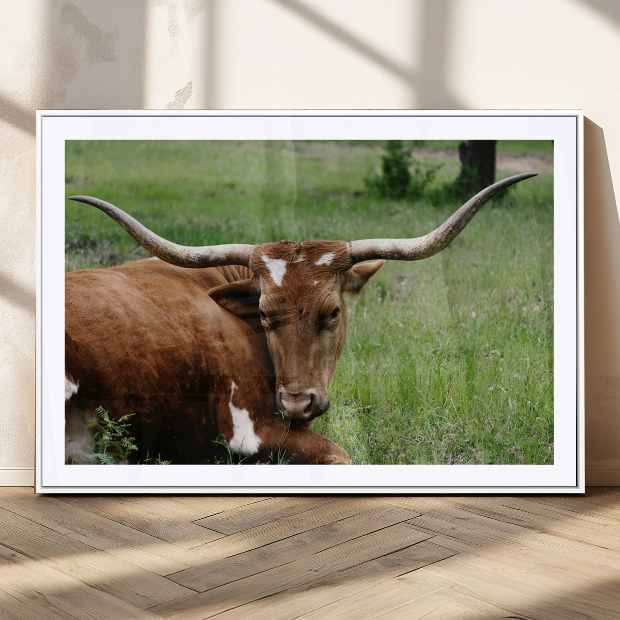 MGC-FP-36x24 - Longhorn Cow Animal Wall Art Canvas Print