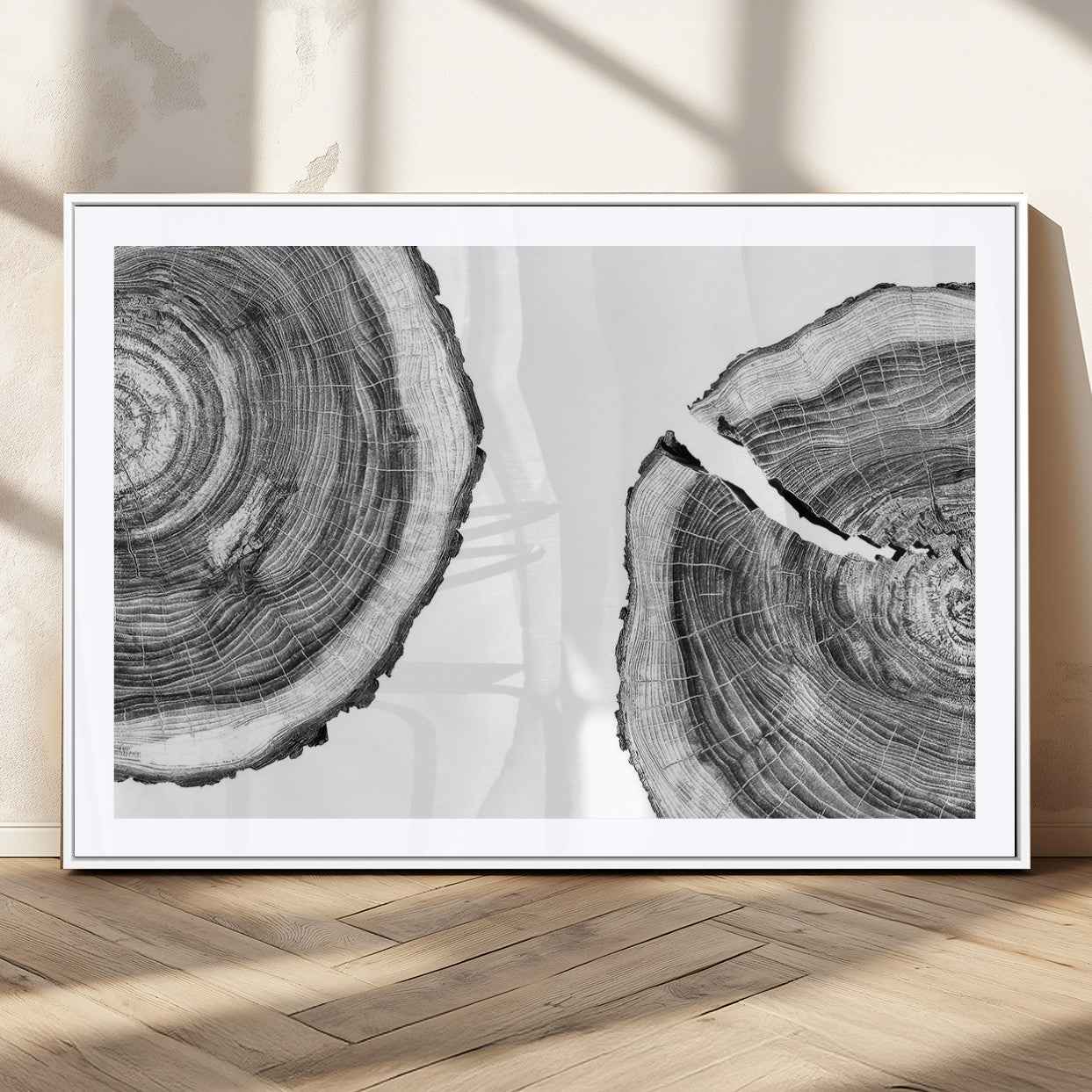 MGC-FP-36x24 - Abstract Large Tree Rings – Minimalist Black and White Wood Art | Triptych Canvas, Modern Wall Decor
