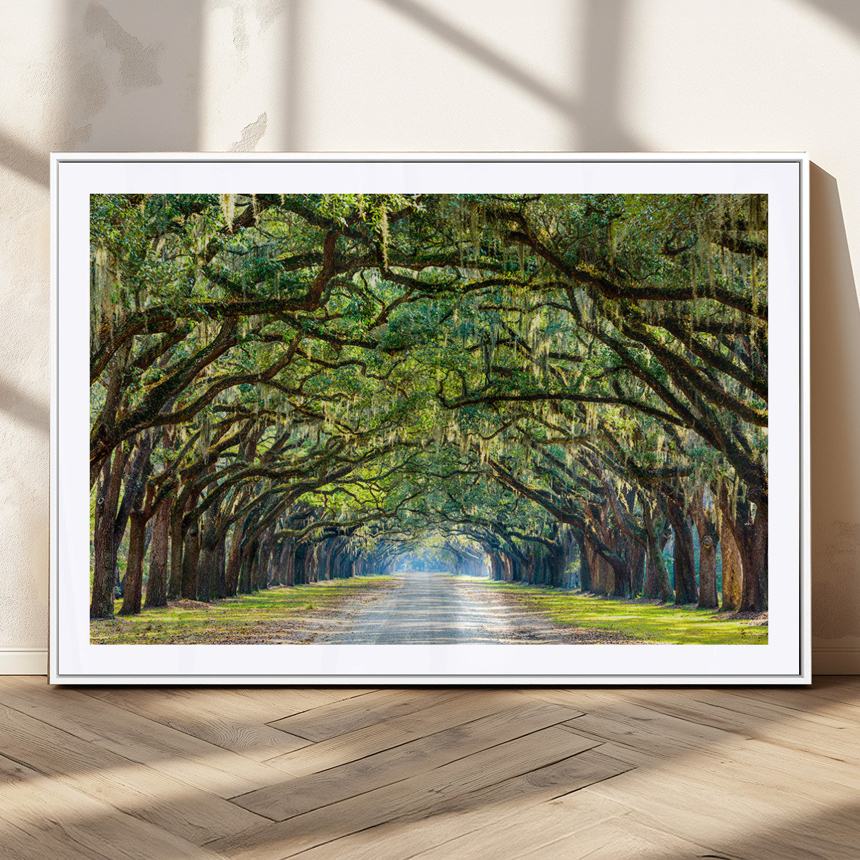 MGC-FP-36x24 - Wormsloe State Plantation Driveway Wall Art Canvas Print