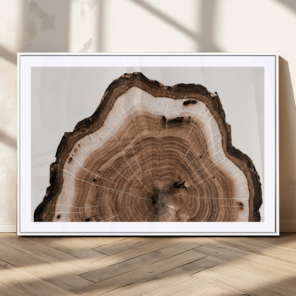 45195-MGC-FP-36x24_White-Rustic Wood Rings Wall Art | Nature-Inspired Tree Ring Canvas Print | Ready to Hang and Framed for