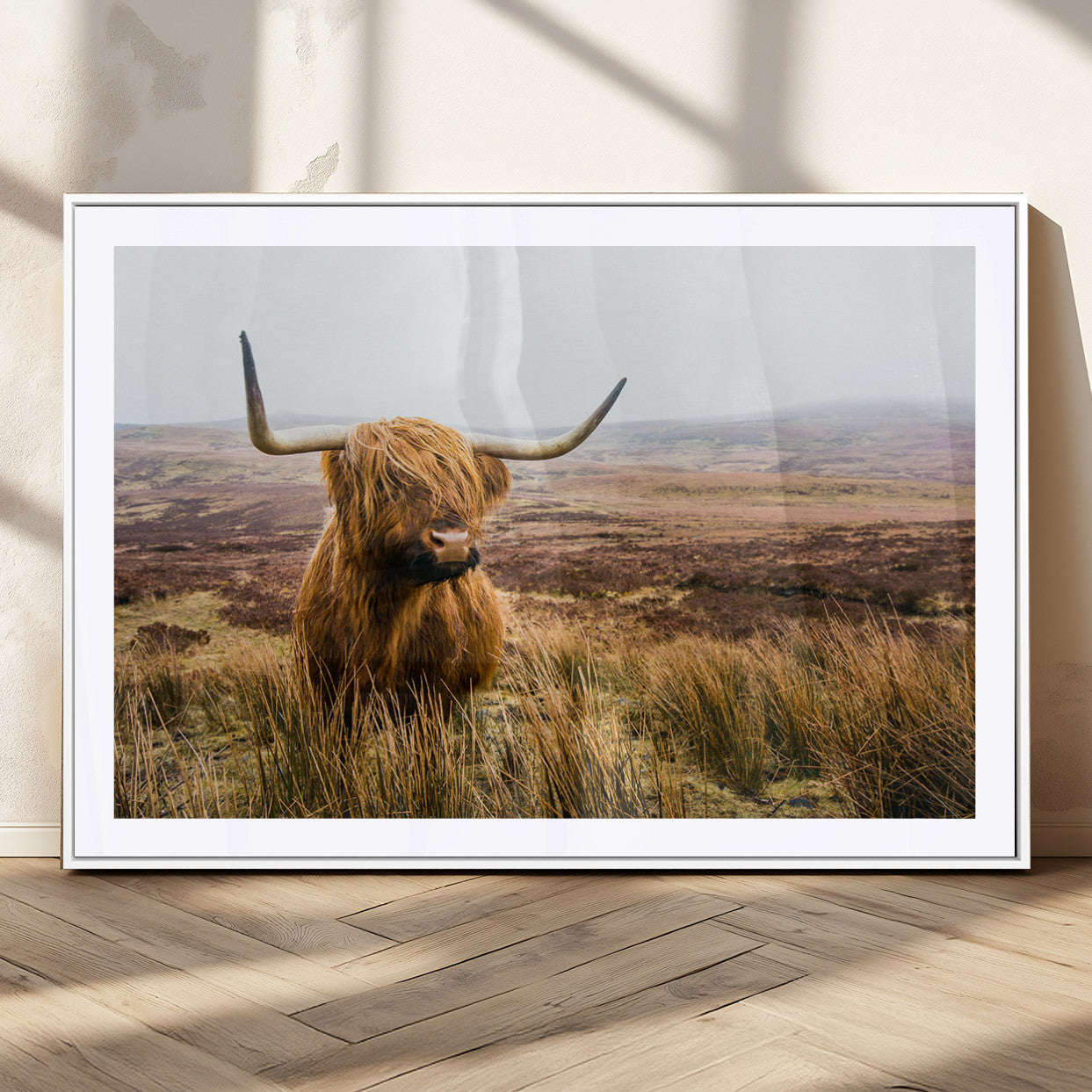 97274-MGC-FP-36x24_White-Scottish Highland Cow Canvas Wall Art – Rustic Farmhouse Charm with Highland Cattle – Ready to Hang