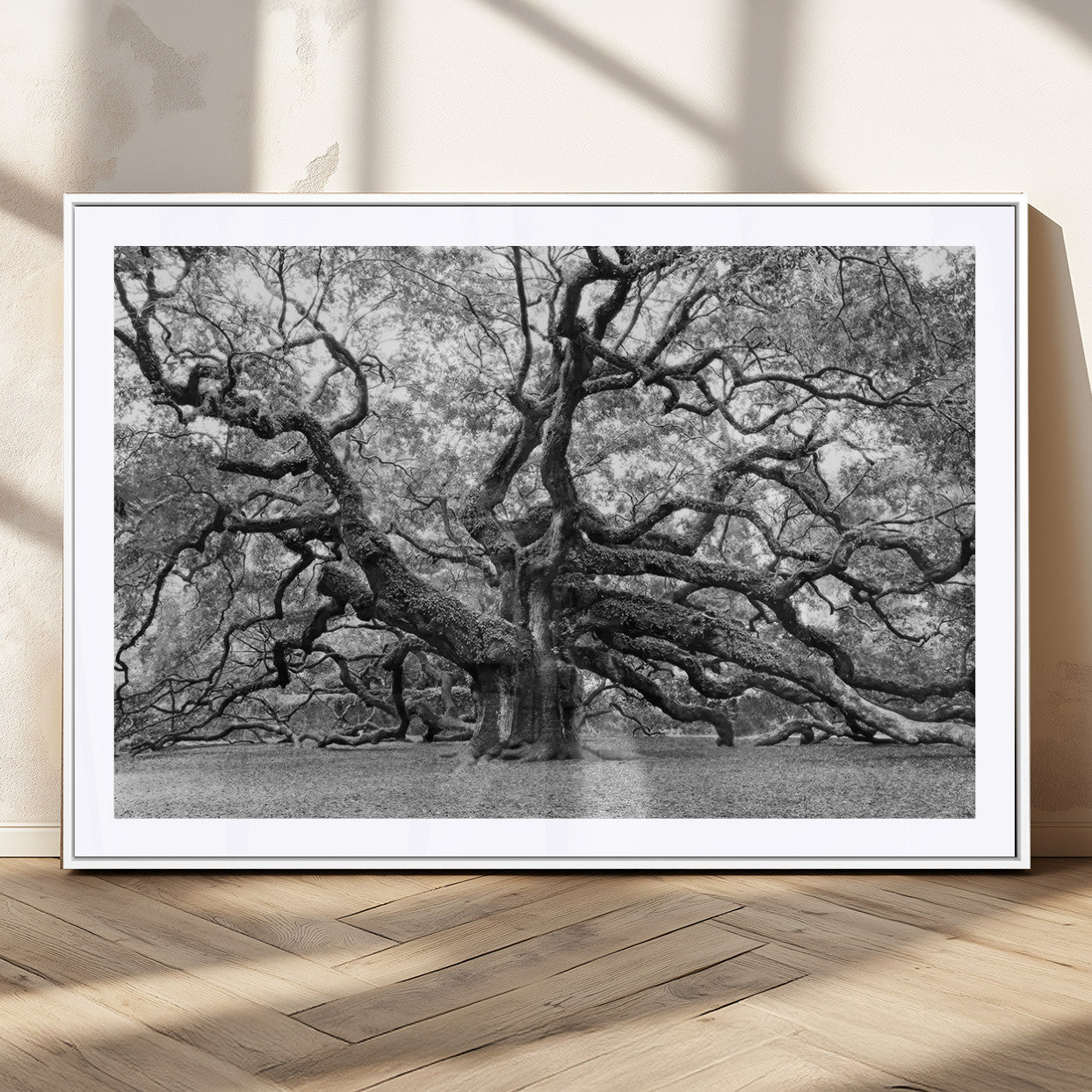 MGC-FP-36x24 - Black White Angel Oak Tree Wall Art - Timeless Nature-Inspired Canvas for Rustic, Modern, or