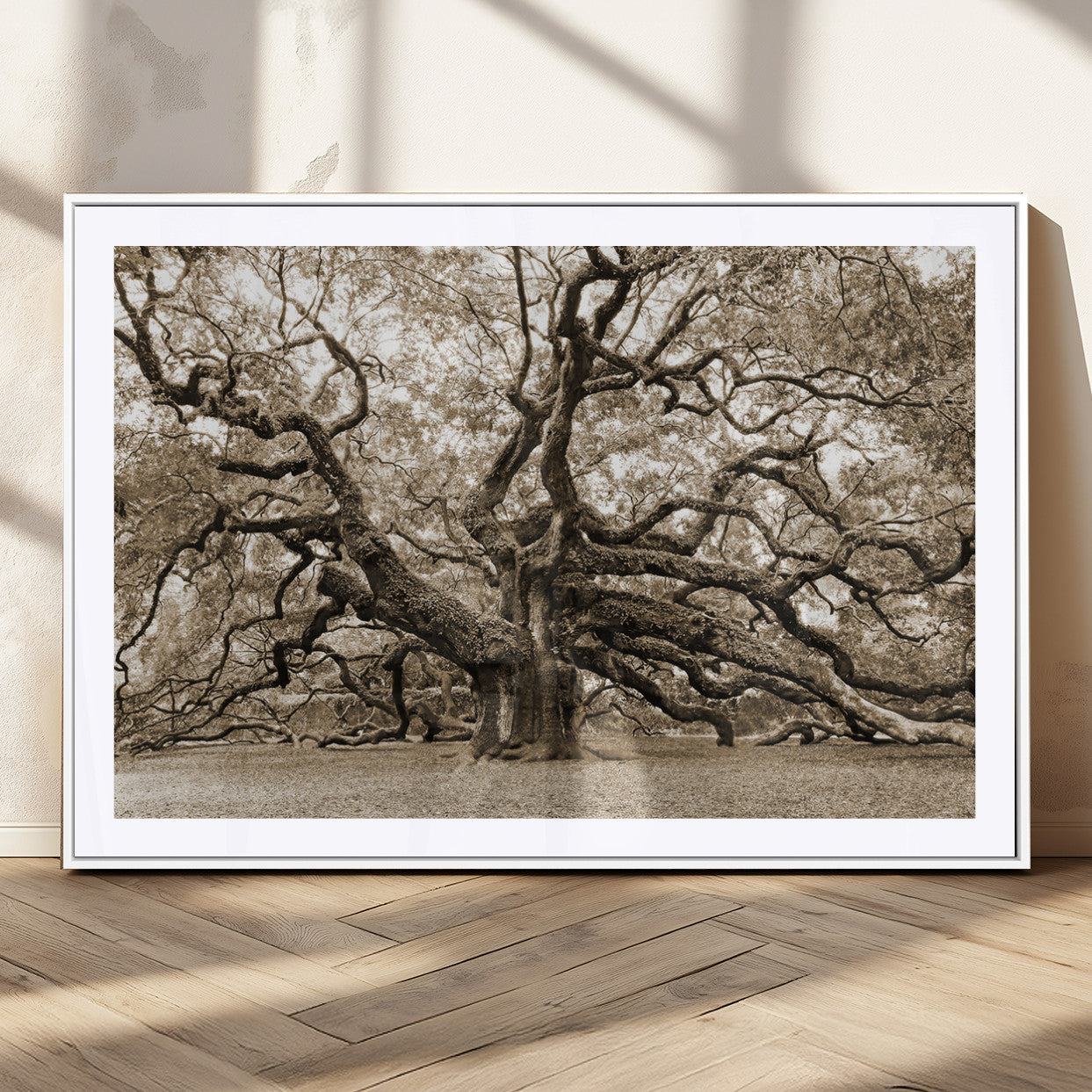 51126-MGC-FP-36x24_White-Sepia Framed Angel Oak Tree Wall Art - 3-Panel Canvas Prints, Large Green Nature Artwork, Ready to
