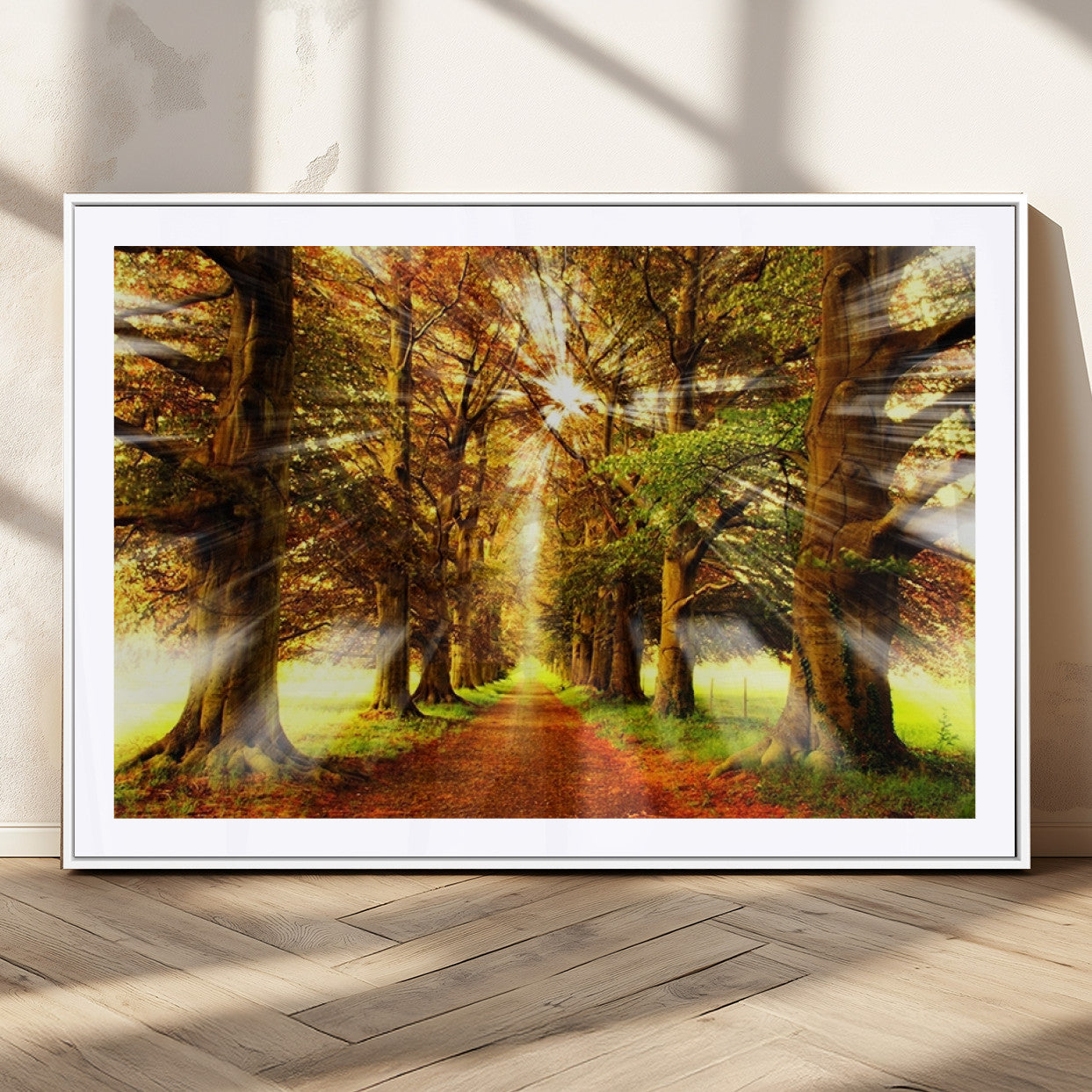 50243-MGC-FP-36x24_White-Sunshine in Forest and Trees Wall Art Canvas Print