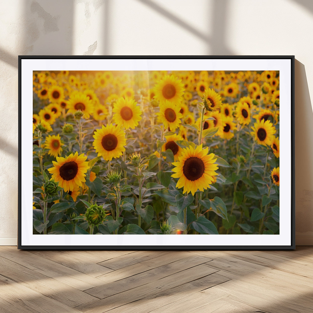 MGC-FP-36x24 - Sunflower Sunshine Wall Art Canvas Print