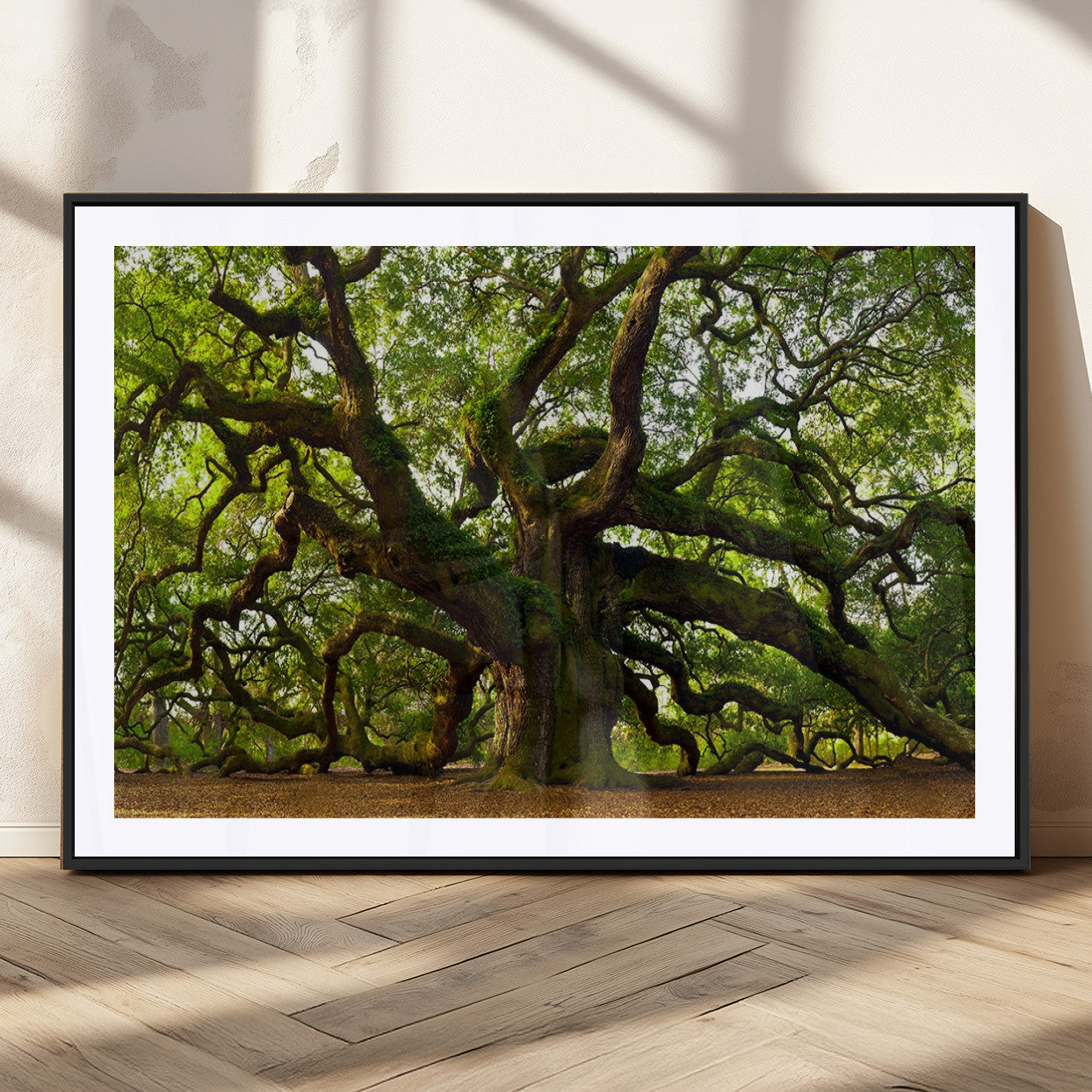 MGC-FP-36x24 - Angel Oak Tree Wall Art Canvas Print | Forest Tree Nature Photography Print on Canvas | Large