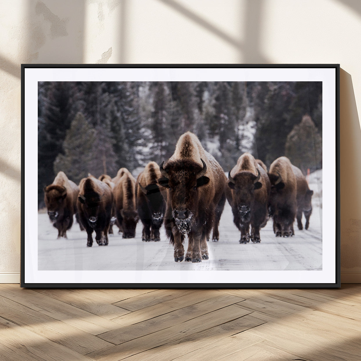 MGC-FP-36x24 - Bison Wall Art Canvas Print- Bison Herd Canvas Wall Art – Majestic Wildlife Photography – Framed and
