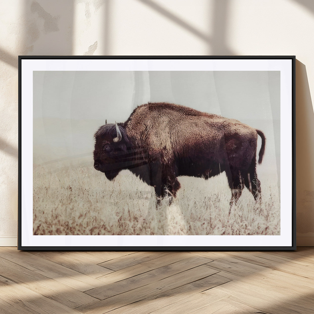 MGC-FP-36x24 - Bison in Field Wall Art Canvas Print For Farmhouse Barn Decor