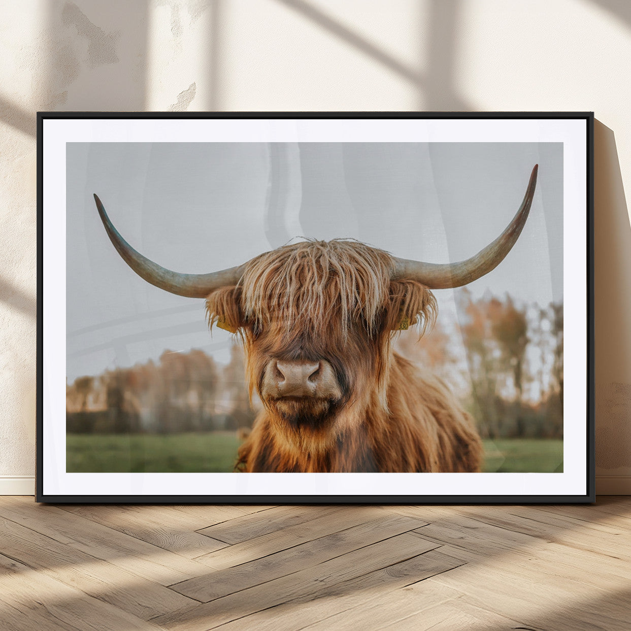 MGC-FP-36x24 - Highland Cow Animal Scottish Cattle Art Print Farmhouse Wall Art Canvas Print