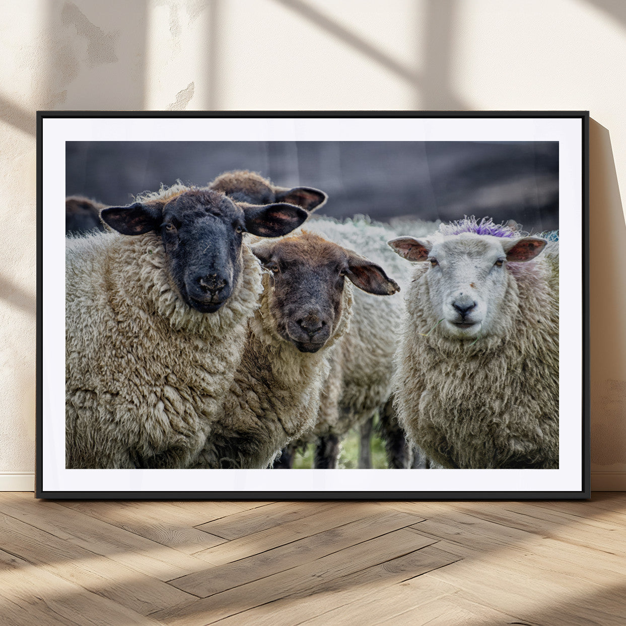 18418-MGC-FP-36x24_Black-Charming Sheep Portrait Wall Art – Trio of Woolly Companions Canvas Print, Framed, Ready to Hang