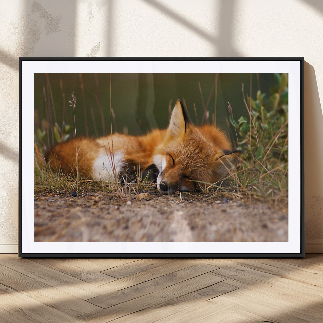 -Sleeping Fox Wall Art Canvas Print, Farmhouse Wall Decor and Animal Wall Art Print