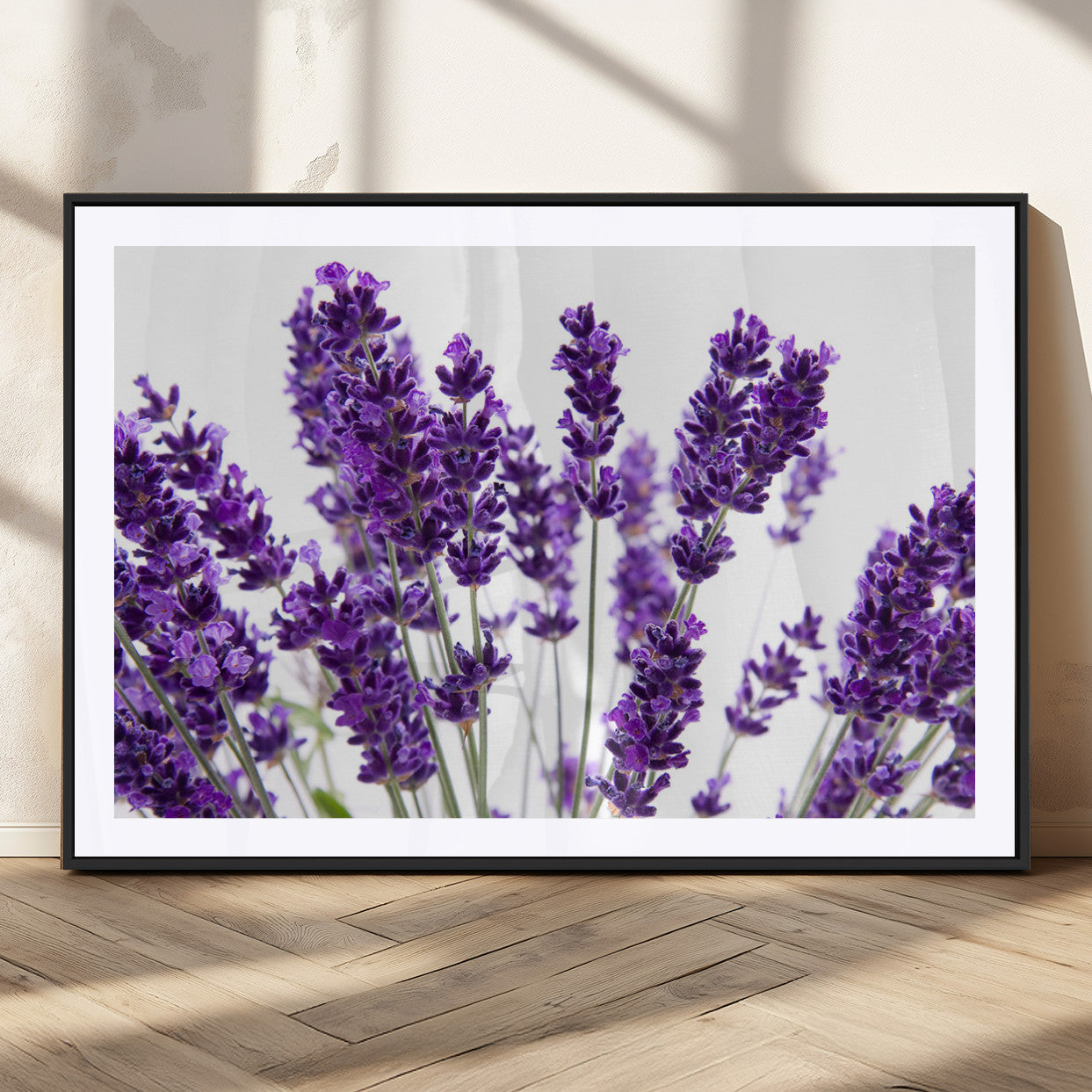 MGC-FP-36x24 - Lavender Flower Wall Art Canvas Print