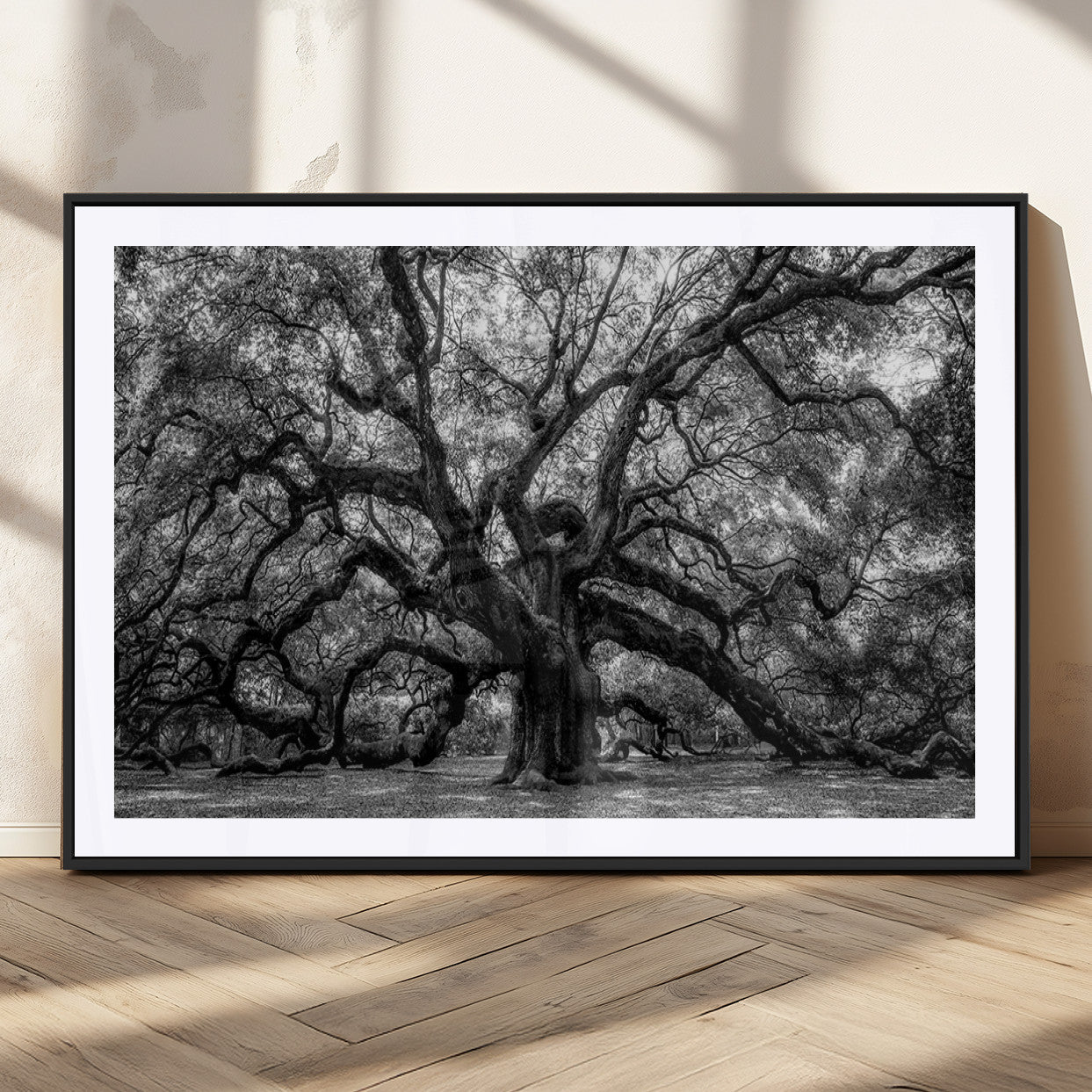 MGC-FP-36x24 - Black and White Old Angel Oak Tree Wall Art Canvas Print